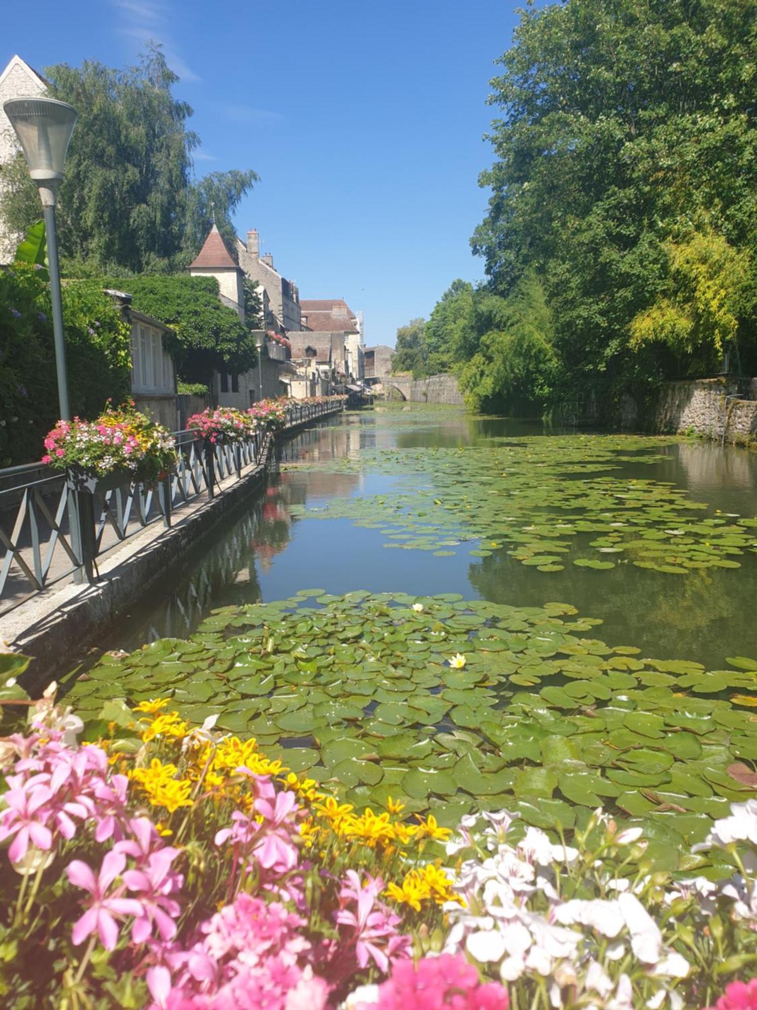 Le Matin Calme - Charme Ancien - Vue Canal Apartment Dole Luaran gambar